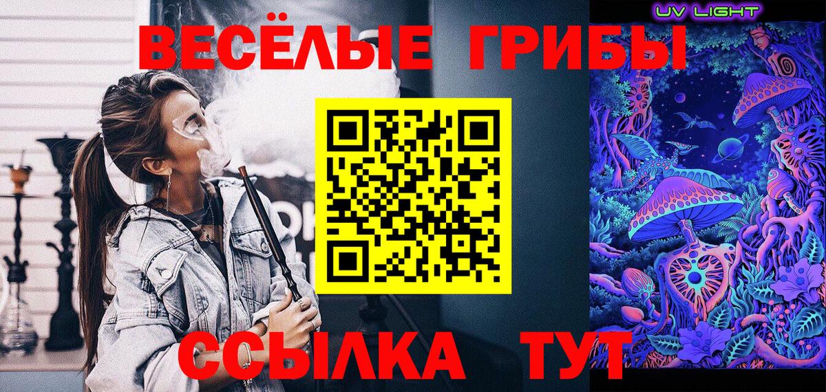 Галлюциногенные грибы Cubensis Азов